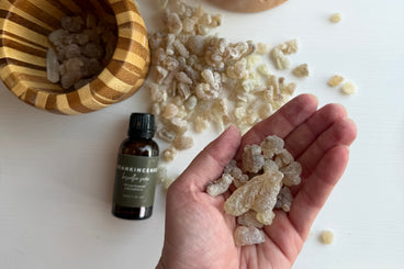We source the highest quality Hojari Boswellia sacra frankincense from the mountains of Dhofar in Salalah, Oman.