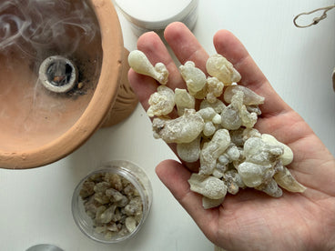 We source the highest quality Hojari Boswellia sacra frankincense from the mountains of Dhofar in Salalah, Oman.