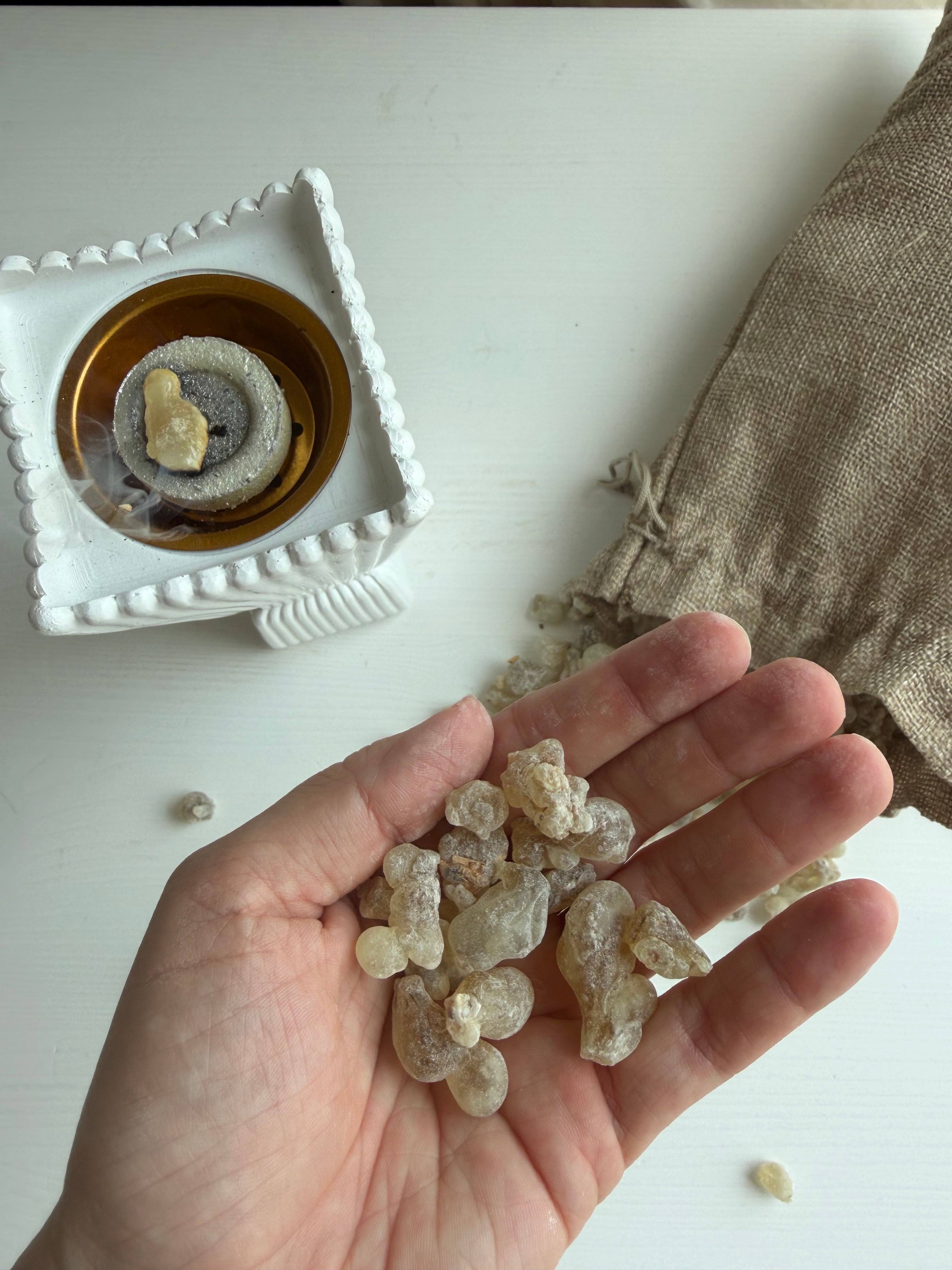 A close-up of a hand holding several pieces of natural Premium Hojari frankincense resin, showing the resin’s cream, pale green, and golden tones.