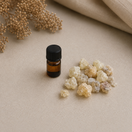 1 ml sample bottle of Premium Omani Hojari Frankincense Essential Oil (Boswellia sacra), steam distilled from authentic frankincense resin harvested in the Dhofar region of Oman.