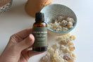 Person holding a bottle of Premium Omani Hojari Frankincense Essential Oil with authentic Boswellia sacra frankincense resin displayed in the background, sourced from Dhofar, Oman.