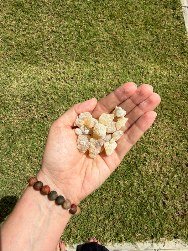 20 g sample of Premium Omani Hojari Boswellia sacra frankincense resin, sustainably harvested in the Dhofar region of Oman.