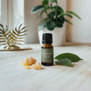 Oman Frankincense Essential Oil – 100% Pure Hojari Boswellia sacra 10 ml